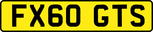 FX60GTS
