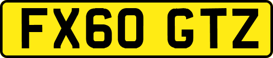 FX60GTZ