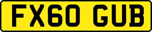 FX60GUB