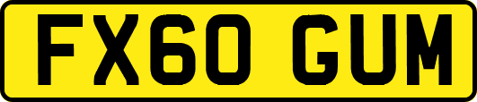 FX60GUM