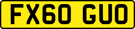 FX60GUO