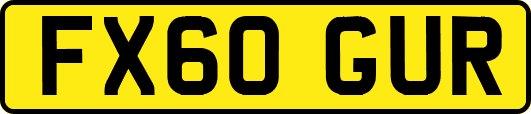 FX60GUR