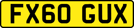 FX60GUX