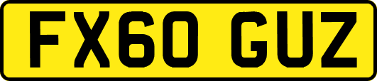 FX60GUZ