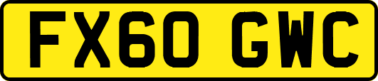 FX60GWC