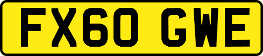 FX60GWE