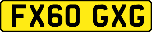 FX60GXG