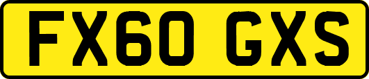 FX60GXS