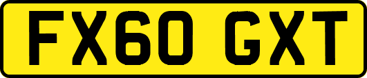 FX60GXT