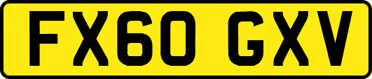 FX60GXV