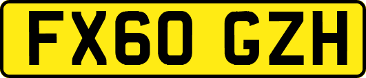 FX60GZH