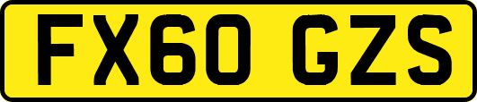 FX60GZS