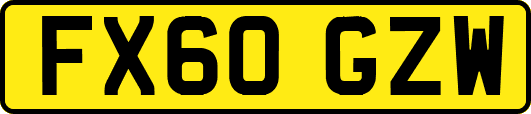 FX60GZW