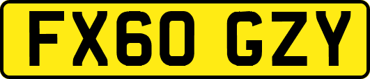 FX60GZY