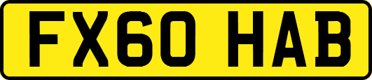 FX60HAB