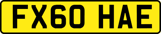 FX60HAE