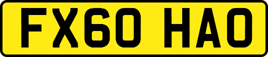 FX60HAO