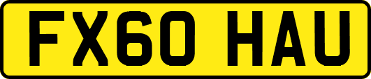 FX60HAU
