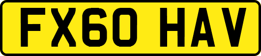 FX60HAV