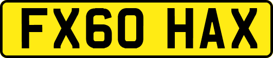 FX60HAX