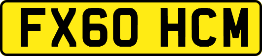 FX60HCM