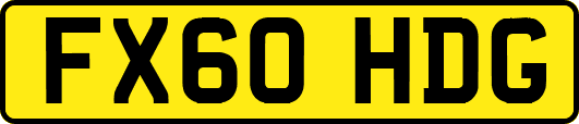 FX60HDG