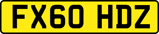 FX60HDZ
