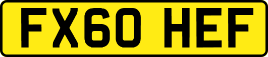 FX60HEF