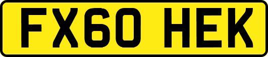 FX60HEK