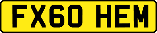 FX60HEM