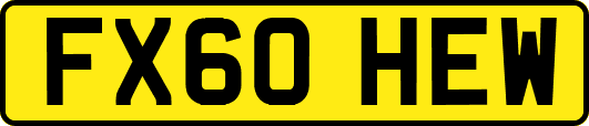 FX60HEW