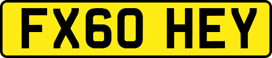 FX60HEY