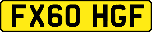 FX60HGF