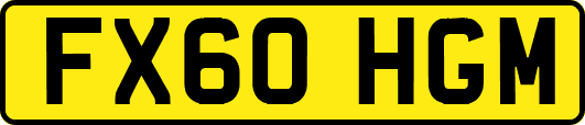 FX60HGM