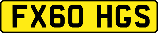FX60HGS