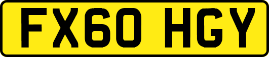 FX60HGY