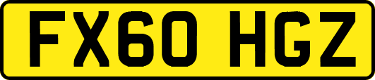 FX60HGZ