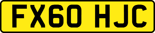 FX60HJC