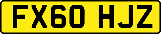 FX60HJZ