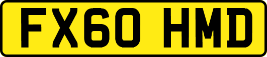 FX60HMD