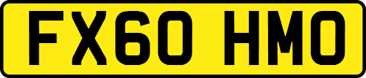 FX60HMO
