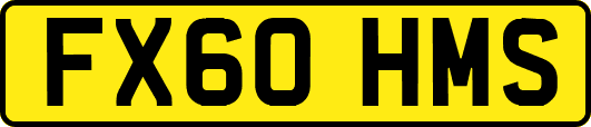 FX60HMS