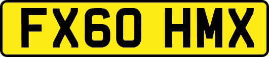 FX60HMX
