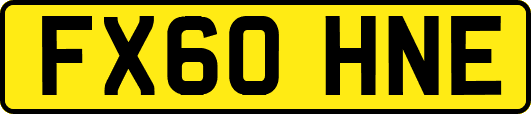 FX60HNE