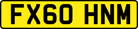 FX60HNM