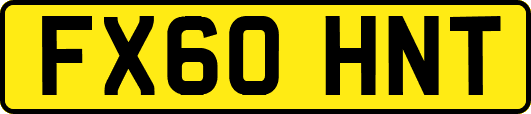 FX60HNT