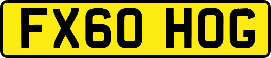FX60HOG