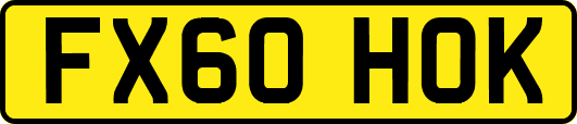 FX60HOK