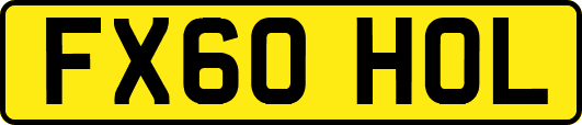 FX60HOL