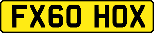 FX60HOX